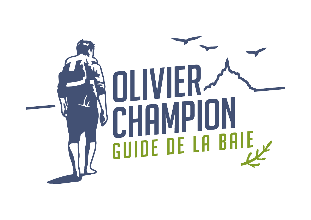 Sorties et traversées de la baie Sorties et traversées de la baie - Olivier Champion